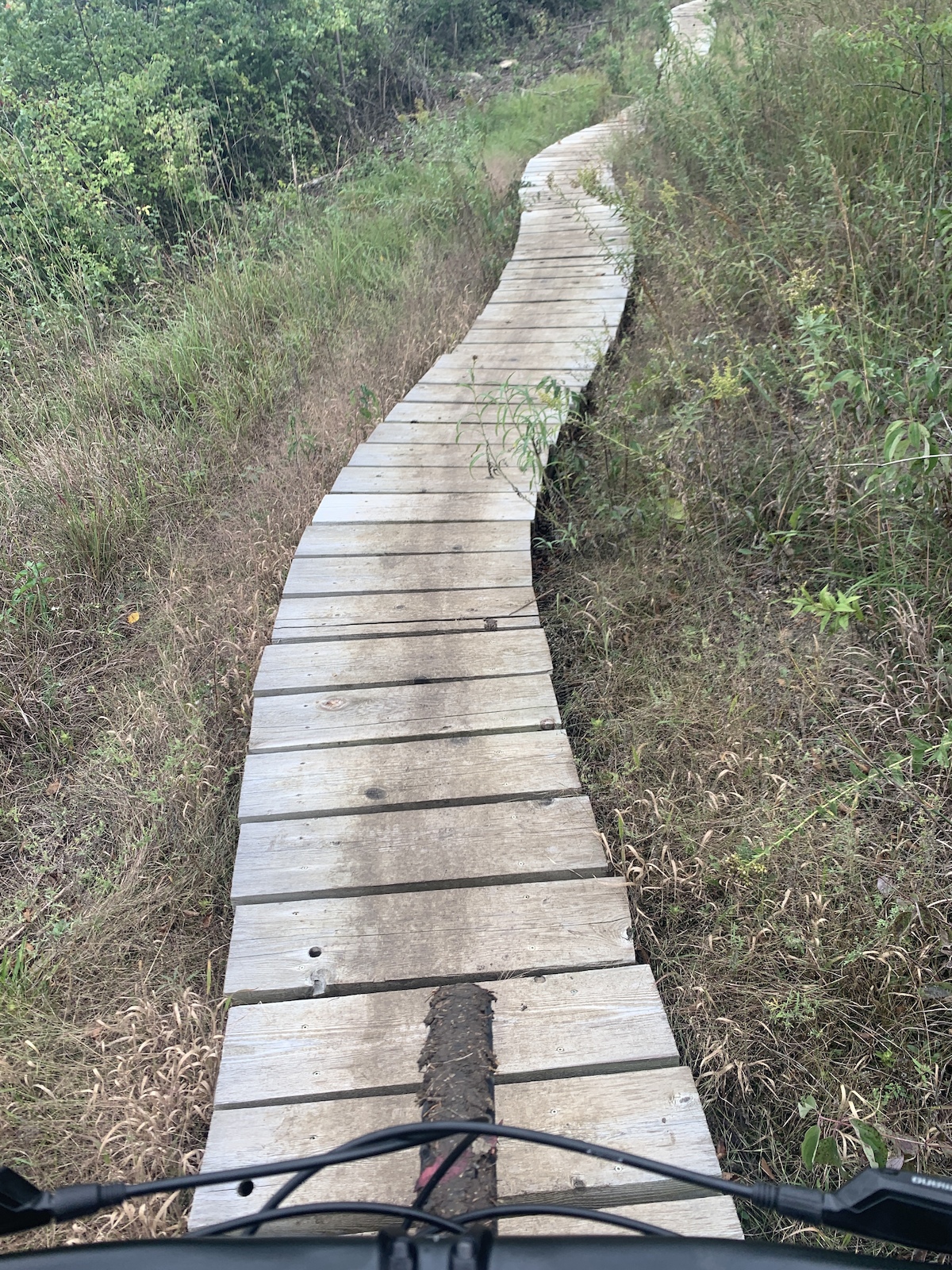 Mountain biking on a boardwalk